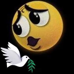 Meet your Posher, Gerald